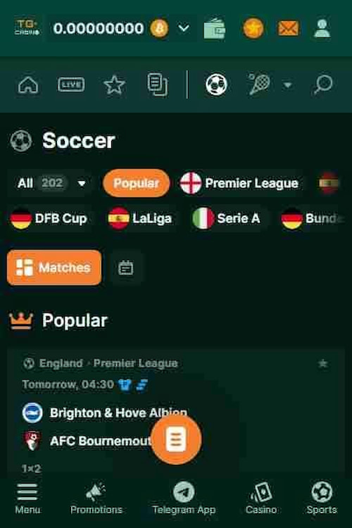テレグラムカジノでサッカーベッティング